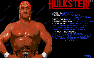 WWF WrestleMania screenshot 5 for Atari ST